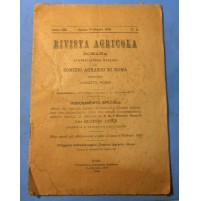 1899 - RIVISTA AGRICOLA ROMANA - COMIZIO AGRARIO DI ROMA - N° 2 