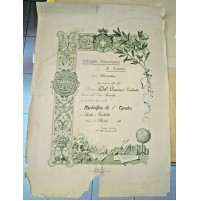 1912 COLLEGIO MUNICIPALE DI ALASSIO - DIPLOMA MEDAGLIA DI 1° GRADO N. DEL BUONO 