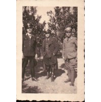 1930ca CALABRIA - FOTO DI CARABINIERI REALI IN FRUTTETO - AGRUMETO  (C12-10)