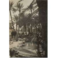 Antica fotografia degli anni '30 - Oasi - colonie italiane Africa