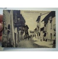 CARTOLINA DI ROCCAVIONE CUNEO - ANNULLO XXX SAGRA DEL MARRONE 1992  (C10-56