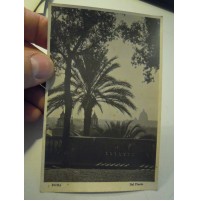 CARTOLINA DI ROMA 1920ca - SUL PINCIO  -  C10-563