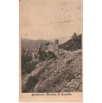 CARTOLINA DI SAVIGNONE / GENOVA - IL CASTELLO - VG 1906