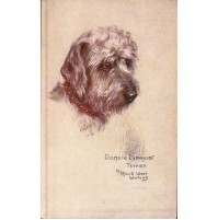 CARTOLINA - TUCK'S POST CARD - OILETTE GREY DANDIE DINMO DOG BY MAUD WATSON C7-2