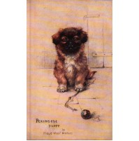 CARTOLINA - TUCK'S POST CARD - OILETTE PEKINGESE PUPPY - DOG BY MAUD WATSON C7-1