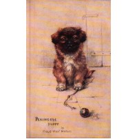 CARTOLINA - TUCK'S POST CARD - OILETTE PEKINGESE PUPPY - DOG BY MAUD WATSON C7-1