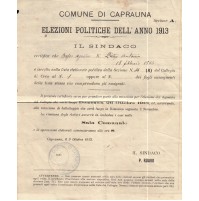 DOCUMENTO COMUNE DI CAPRAUNA CUNEO ELEZIONI POLITICHE 1913 (COLLEGIO CEVA) 1-9BS