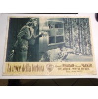 FOTOBUSTA CINEMATOGRAFICA LA VOCE DELLA TORTORA WARNER BROS RONALD REAGAN 1948