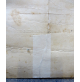 NOMINA VICE DIRETTORE Società del Tiro a Segno Nazionale di Albenga - 1927