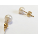 Orecchini in Oro 750 e Perle da 8 mm con Chiusura a Farfalla - Design Elegante