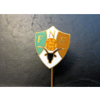 PIN SPILLA Distintivo Calcio - Nazionale di calcio della Nigeria - AFRICA