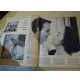 RIVISTA 