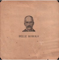 SANTINO CANDIDATO ALLE ELEZIONI POLITICHE DI ALBENGA 1913 - PELLE ROMOLO C9-120